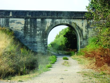 Paso inferior de uno de los viaductos que se encuentran a lo largo de la ruta